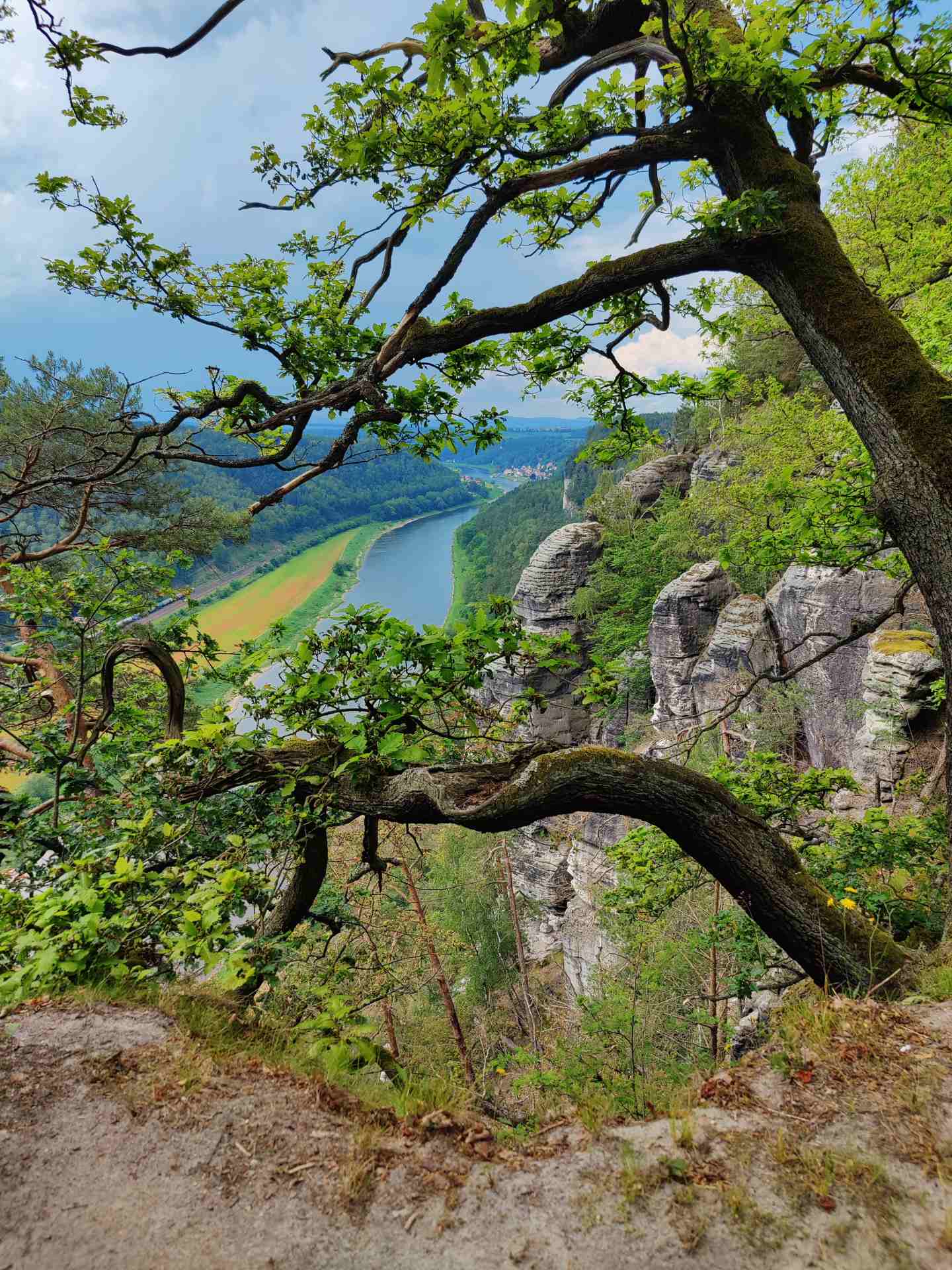 Sachsen Elbsandsteingebirge Nähe Rathen