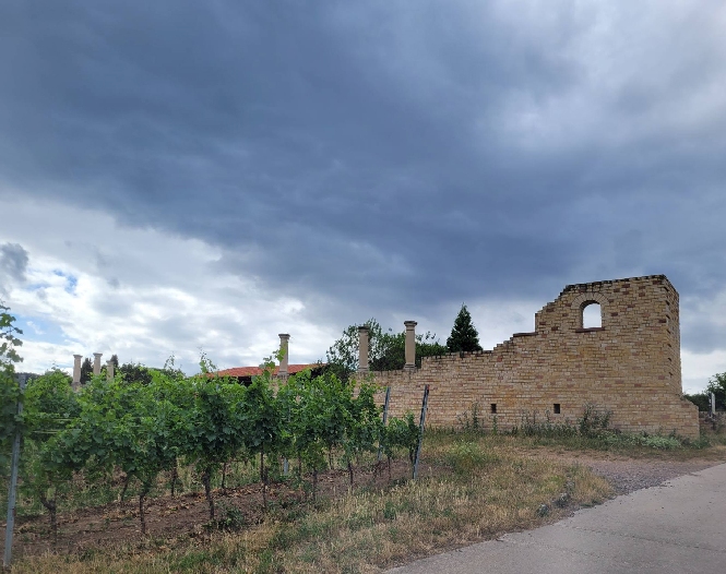 römisches Weingut Weilberg